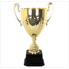 EXCLUSIVE METAL CUP TROPHIES<br>EMC30108