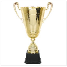 EXCLUSIVE METAL CUP TROPHIES<br>EMC30109