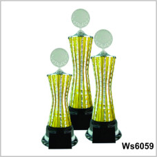 WS6059